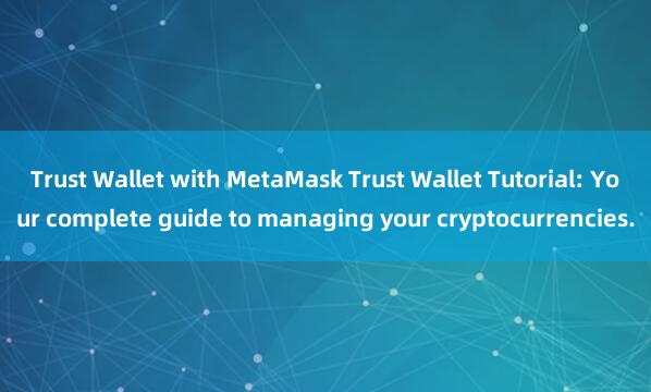 Trust Wallet with MetaMask Trust Wallet Tutorial: Your complete guide to managing your cryptocurrencies.